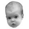 Gemma_baby Gemma_baby